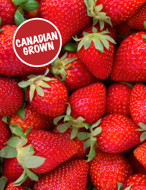 Canadian Grown Strawberries