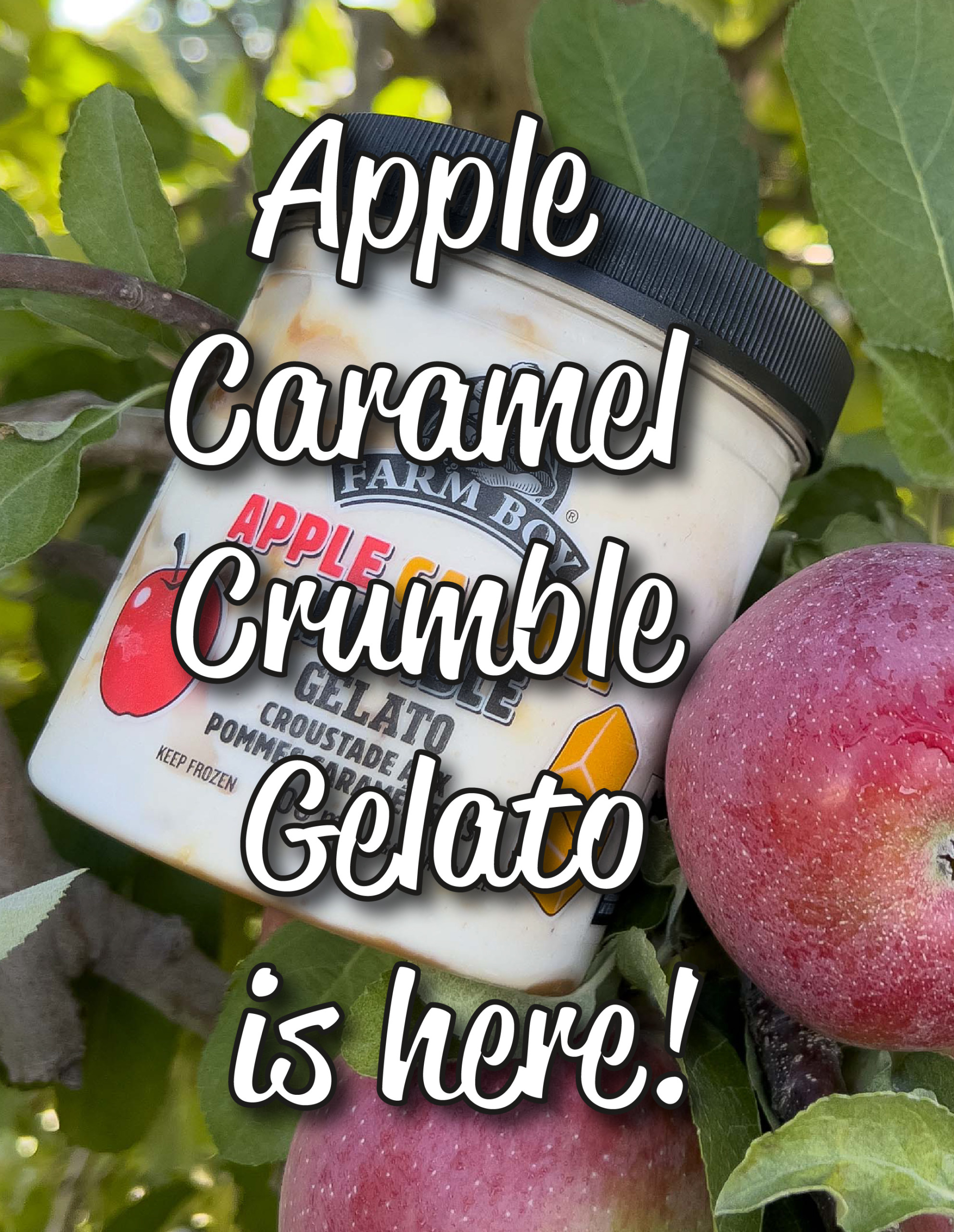 apple-caramel-crumble-gelato-is-here