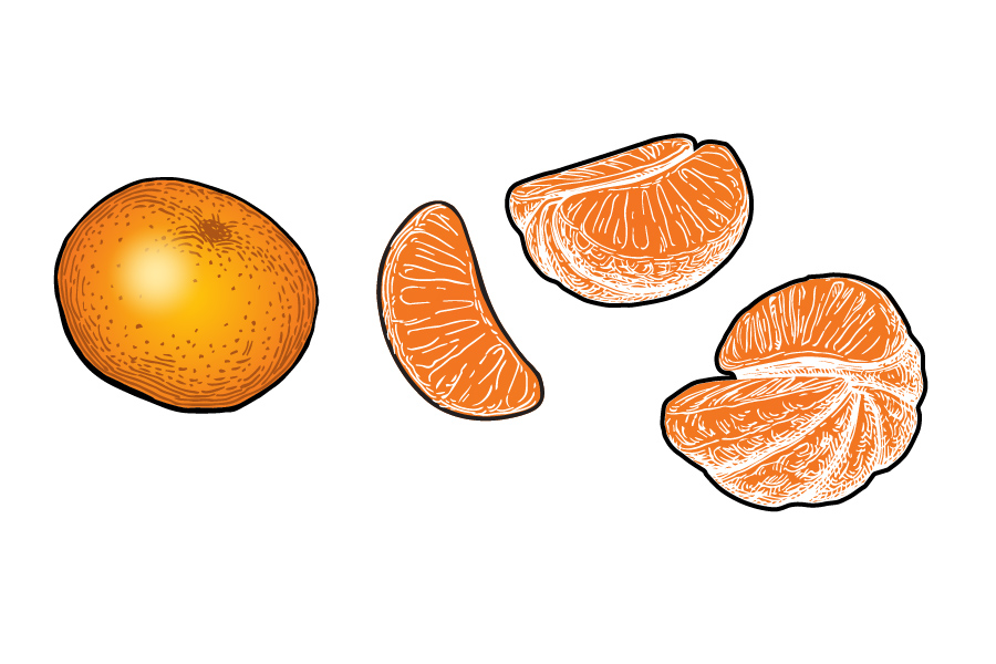 unique citrus juicy crunch tangerine illustration