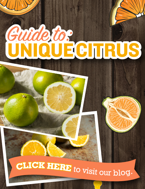 Guide to unique citrus