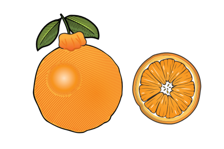 unique citrus sumo citrus illustration