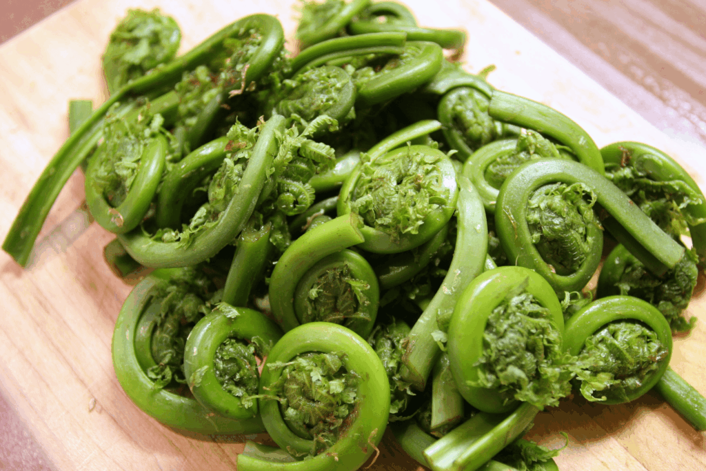 Pile of freshly cleaned fiddleheads on cutting board