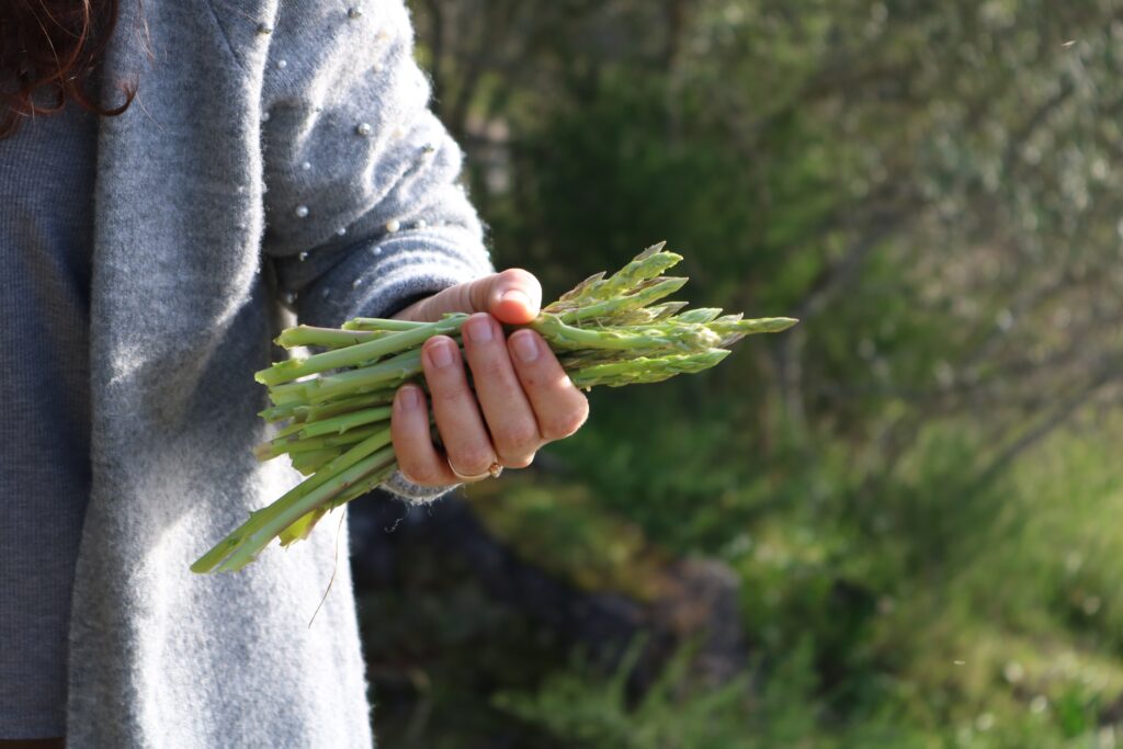 Farmer with Fresh Asparagus