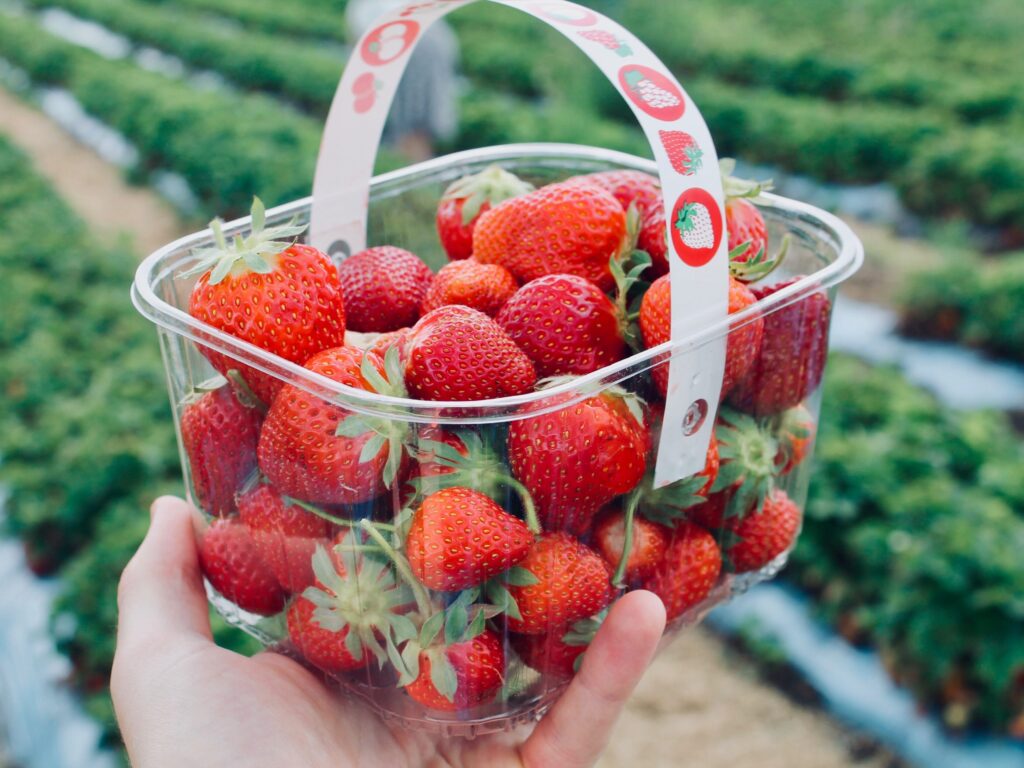 basket of strawberries