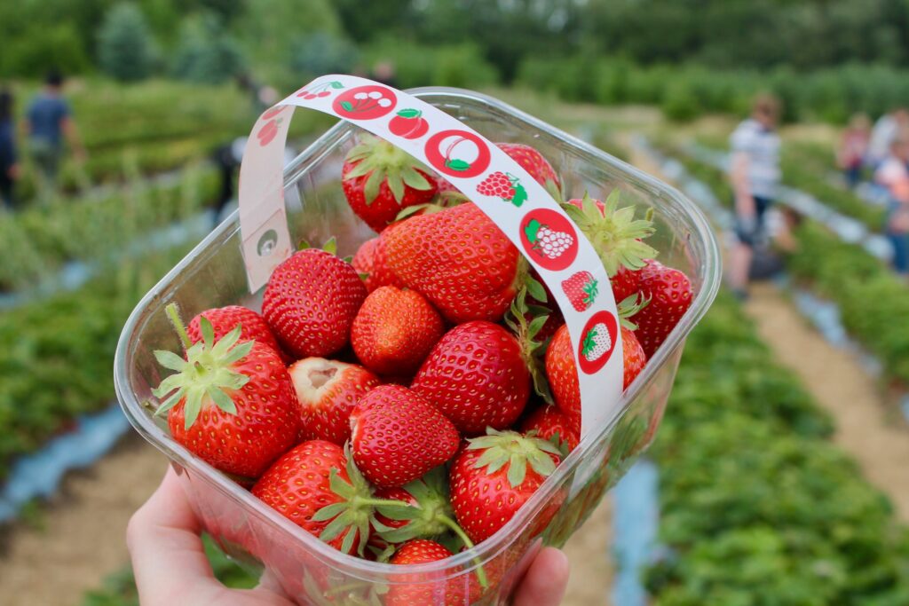 basket of fresh strawberries