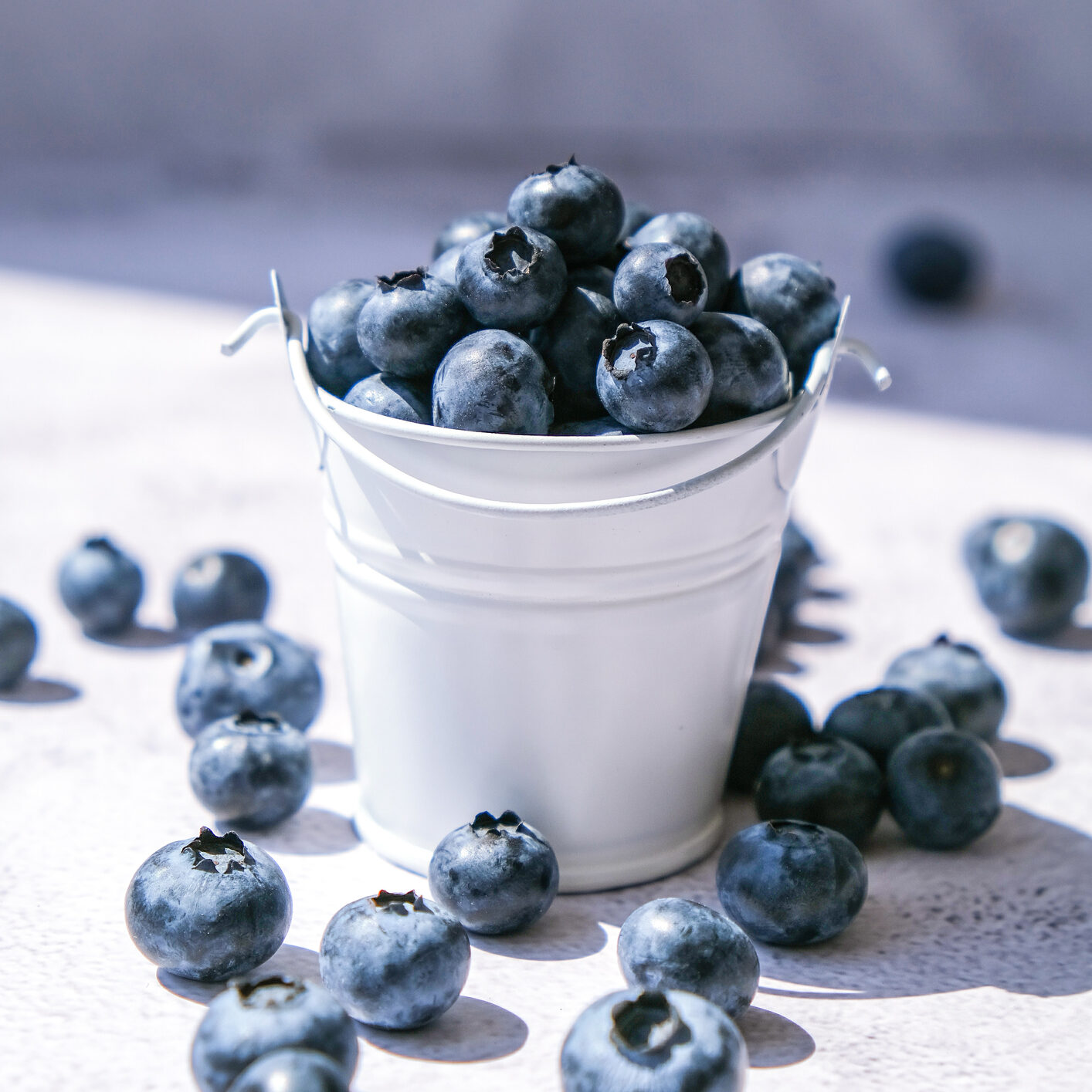 tiny bucket of blueberries