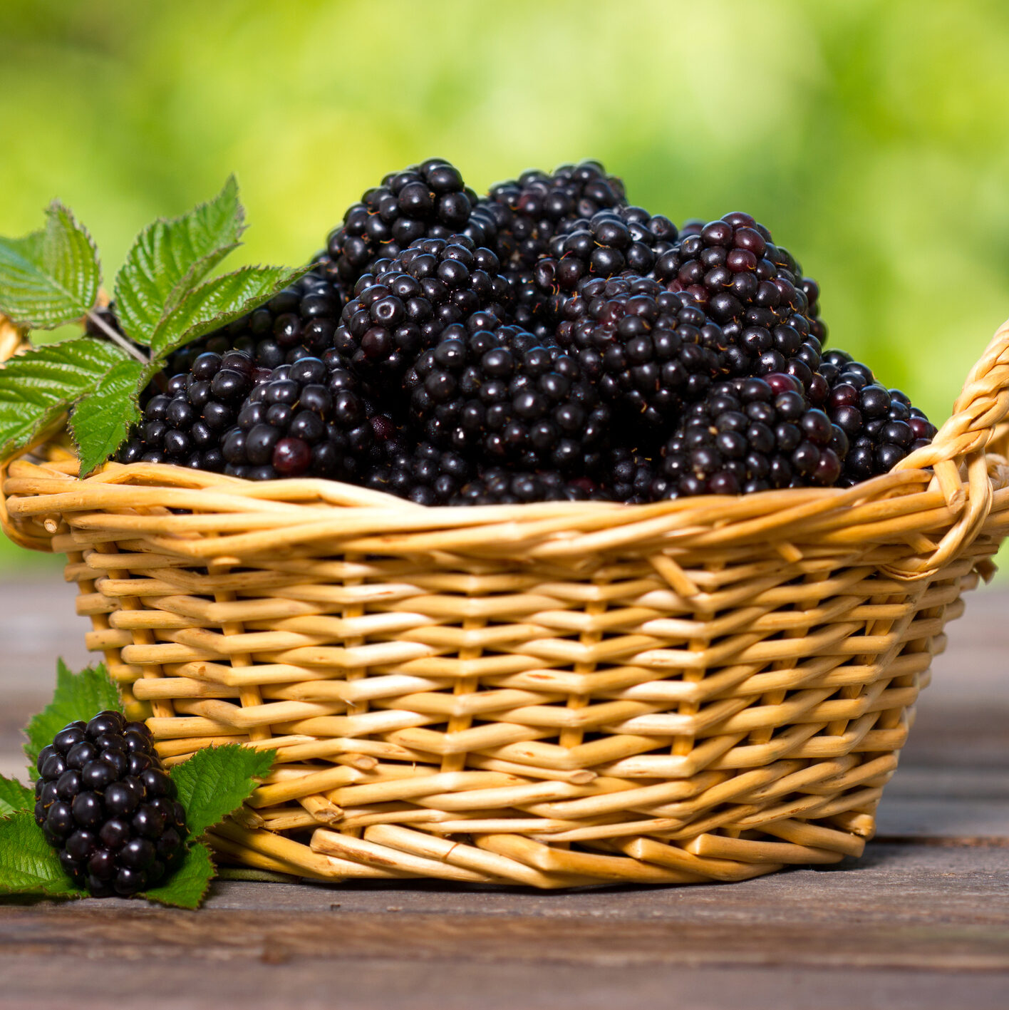 Blackberries in the basket