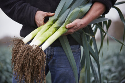 What Are Leeks? Guide to This Veg | Farm Boy