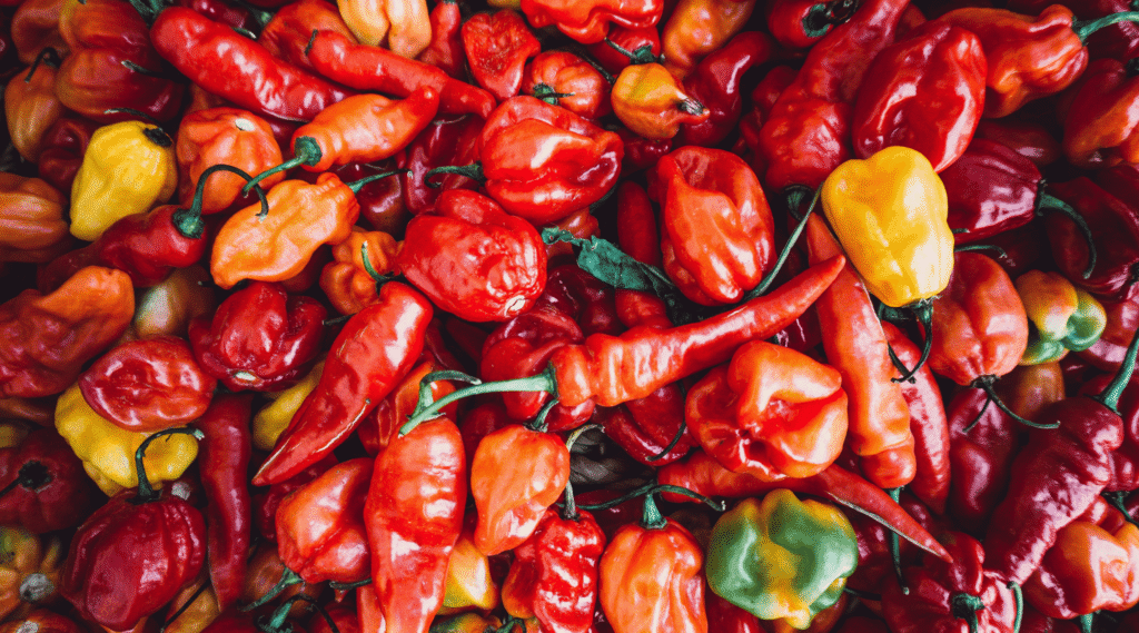 Pile of assorted hot peppers