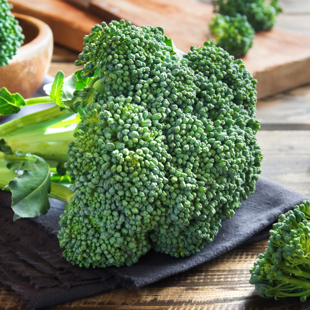 spring veggie: broccoli