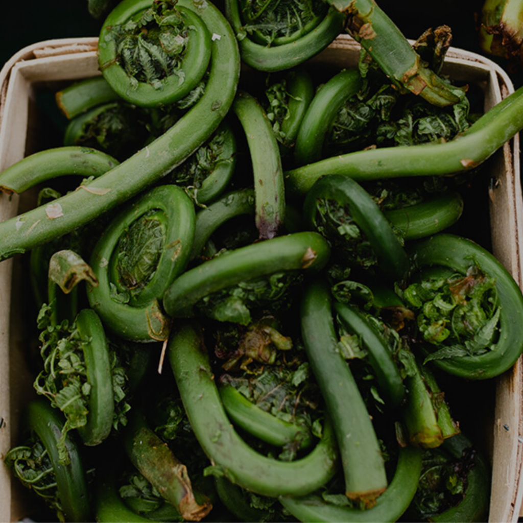 spring veggie: fiddleheads