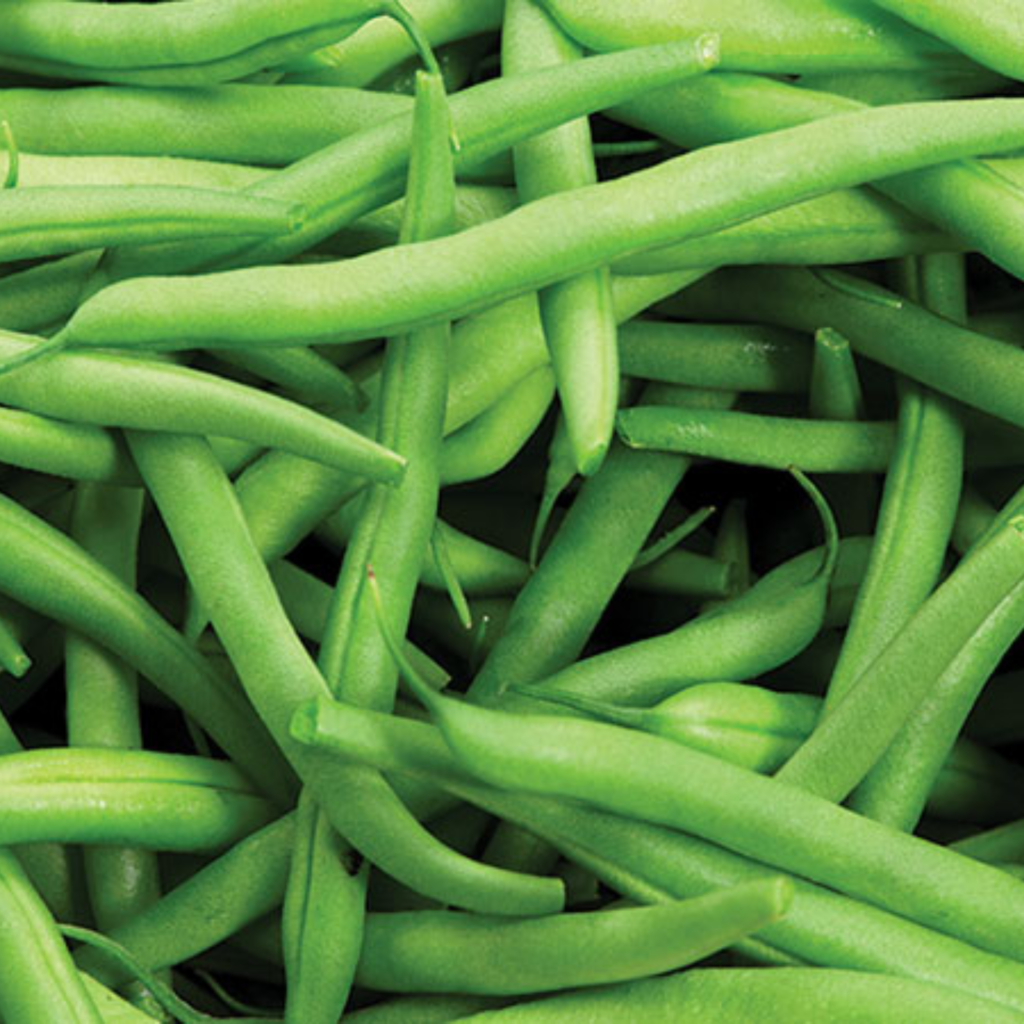 spring veggie: green beans