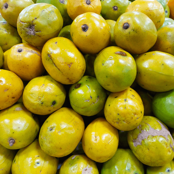 Caribbean fruit: pile of June plums at market.