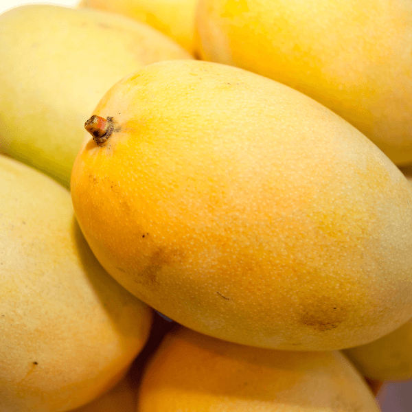 Close up of pile of Mingolo mangos.