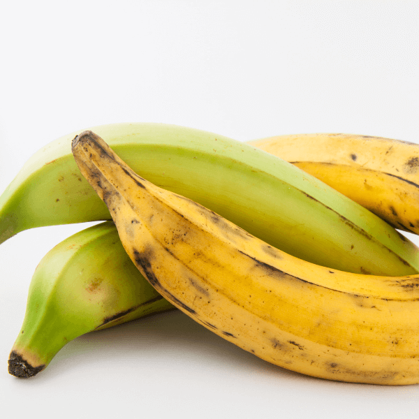 Caribbean fruit: green and yellow plantains on white background.