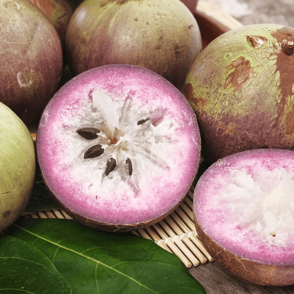 Caribbean fruit: pile of whole star apples with one sliced in half