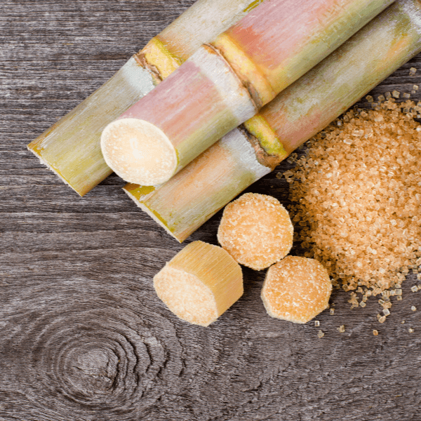 Caribbean fruit: sugar cane. Stalks of sugar cane on wood table with small pile of demerara sugar.