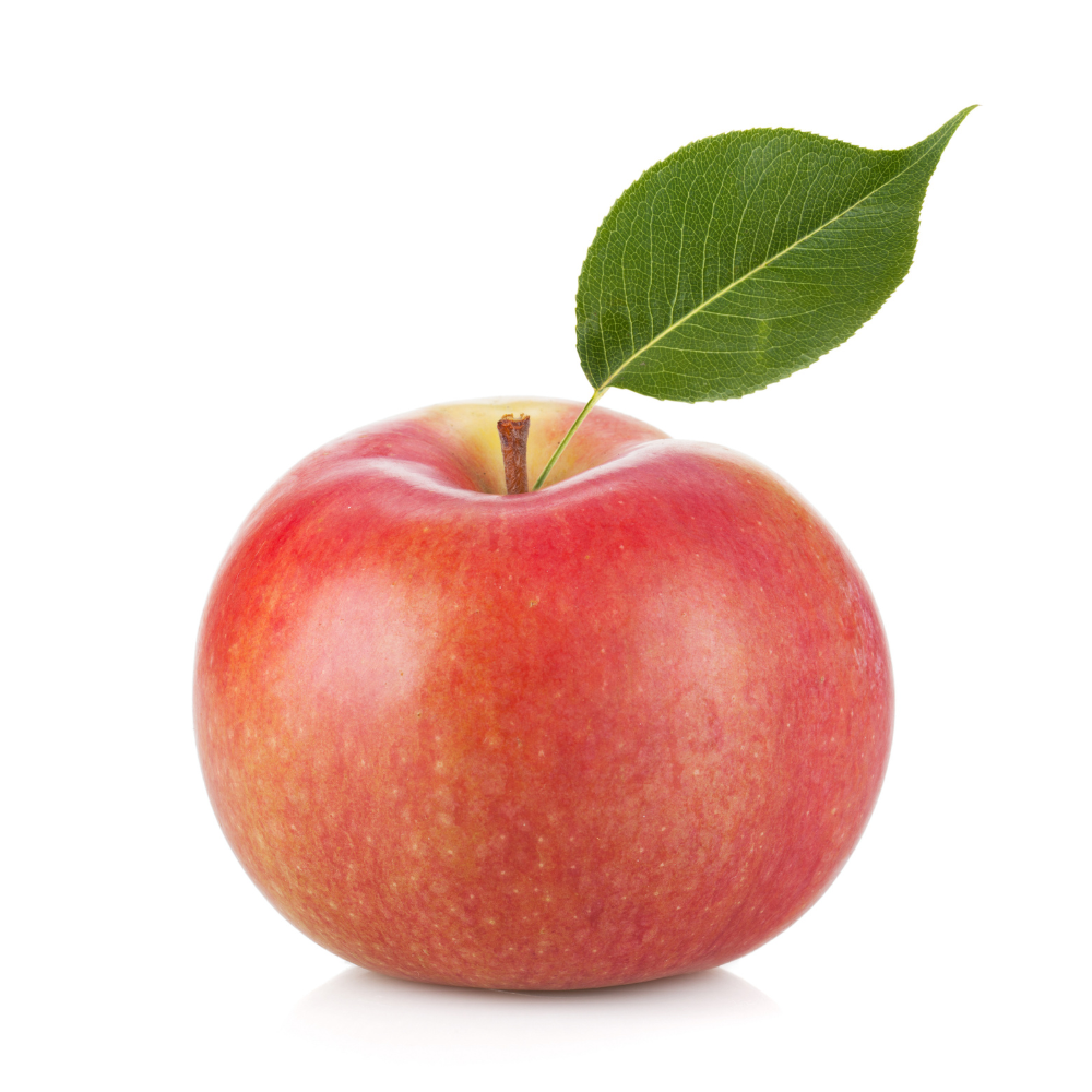 Round Lobo apple with leaf isolated on white background