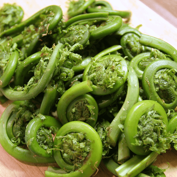 Pile of fiddleheads on cutting board