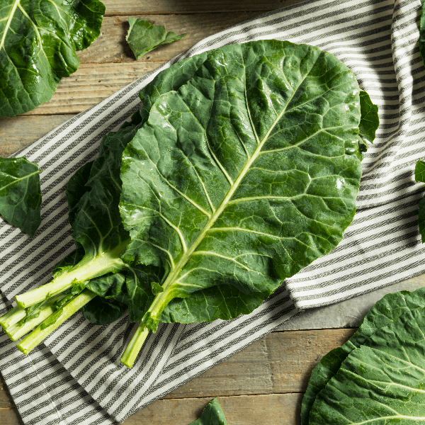 Raw Green Organic Collard Greens Ready to Cook