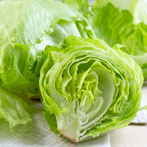 Fresh green iceberg lettuce salad leaves cut on light background on the table in the kitchen.