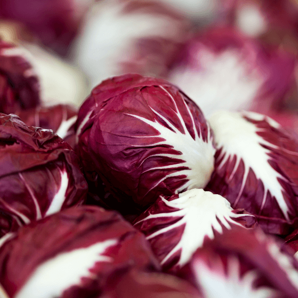 Fresh radicchio on marketplace