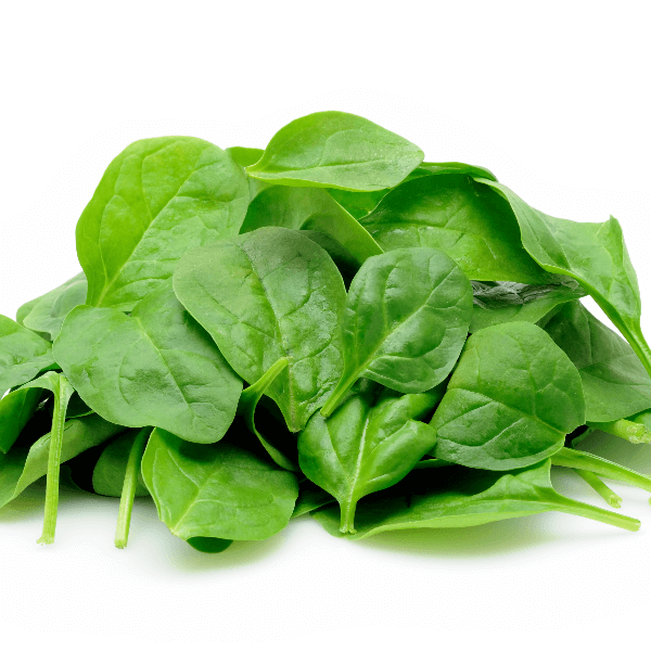 Pile of baby spinach on white background
