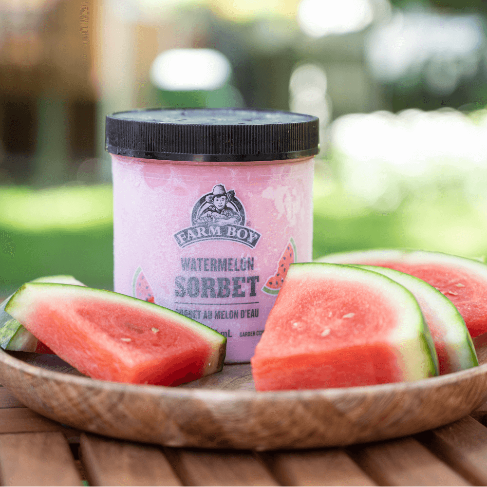 Pint of Farm Boy Watermelon Sorbet on a wooden plate with slices of fresh watermelon outdoors
