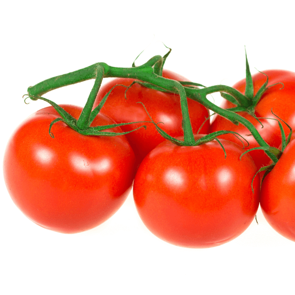 Cocktail tomatoes on white background