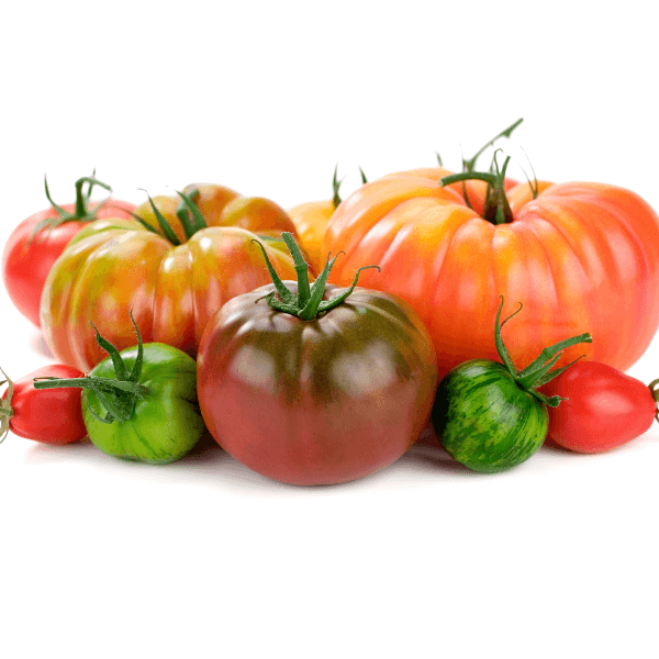 Selection of heirloom tomatoes on white background
