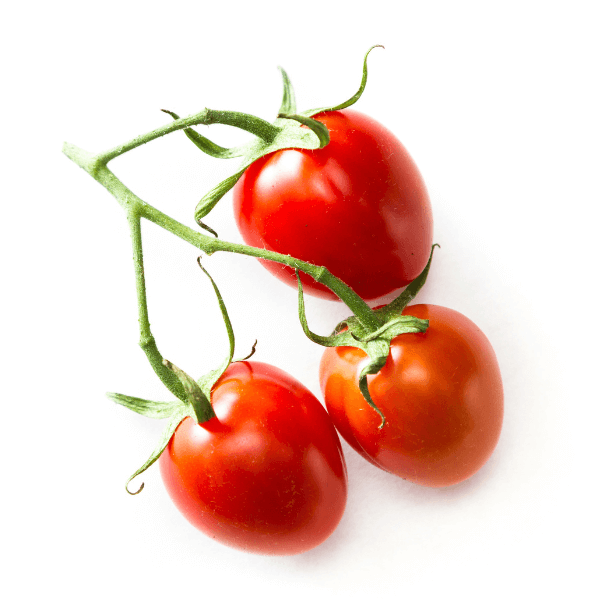 close up of a group of vine ripened strawberry tomatoes with a vibrant red color Isolated on a white background