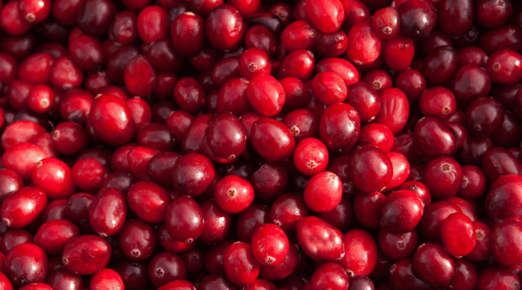 Fresh Cranberries photographed from directly above.