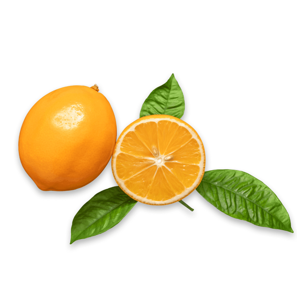 Whole Meyer lemon and half a Meyer lemon on white background