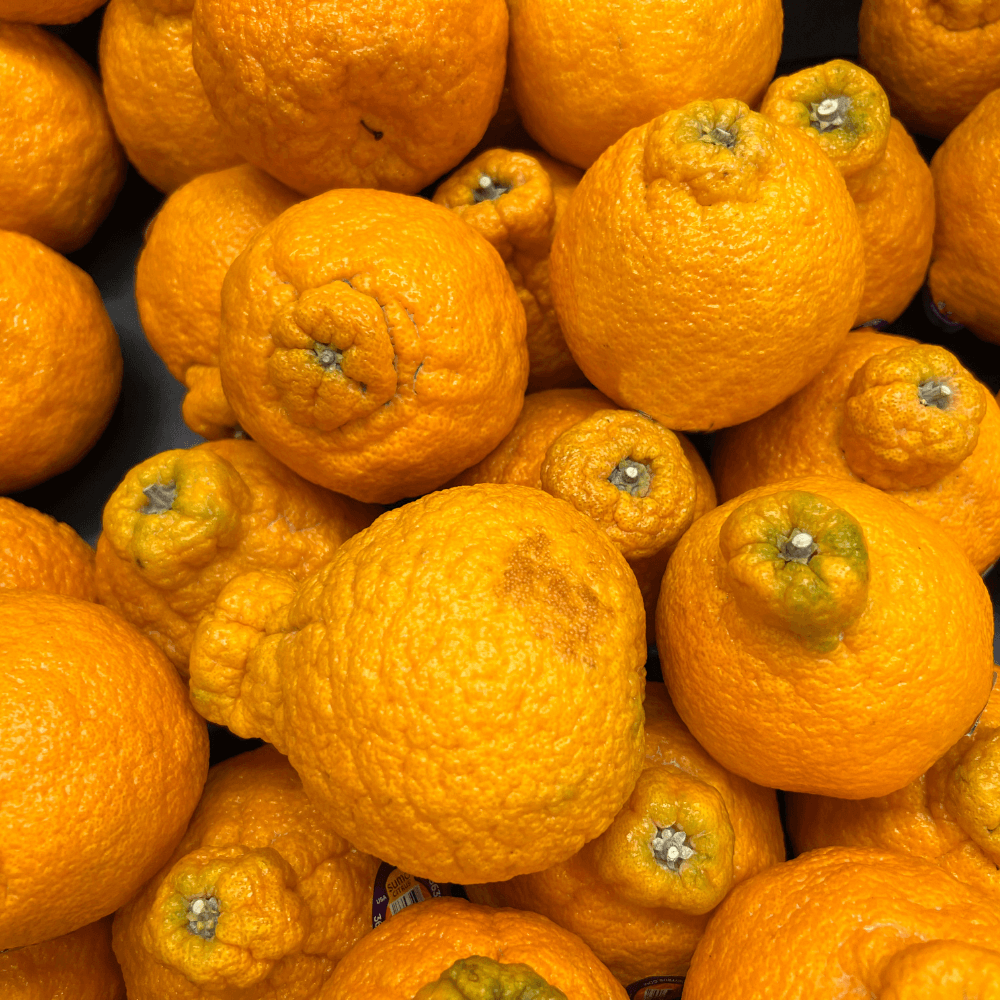 Pile of sumo mandarin oranges