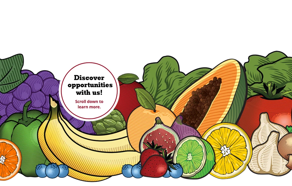 Discover opportunities with us!