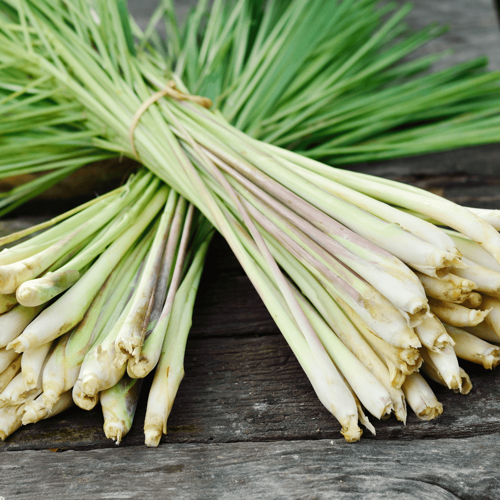 Two group of lemongrass for sale over wood background