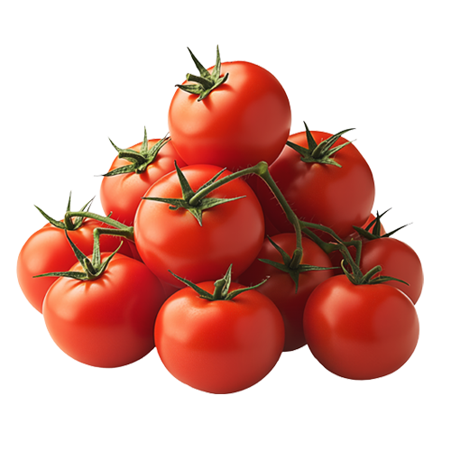 Campari Tomatoes stacked