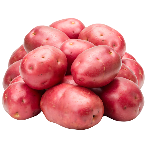 fresh pile of Sweet Potatoes