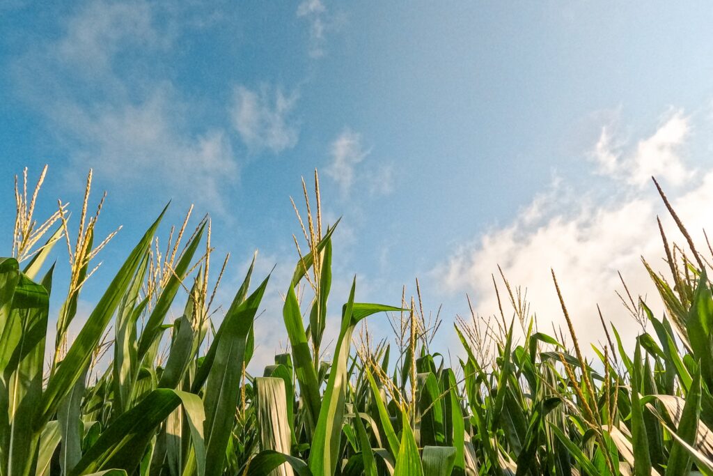 Get Closer to Ontario Farms!