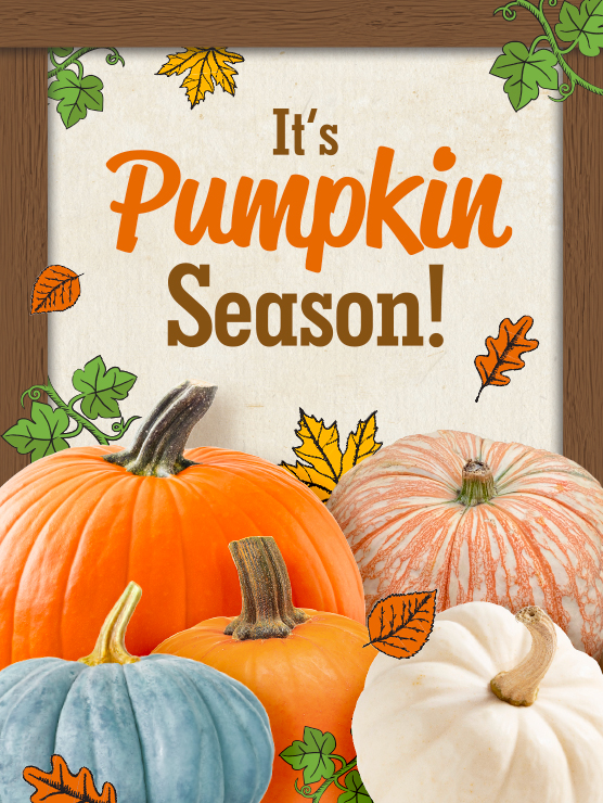 It's Pumpkin Season in Canada at Farm Boy 2027