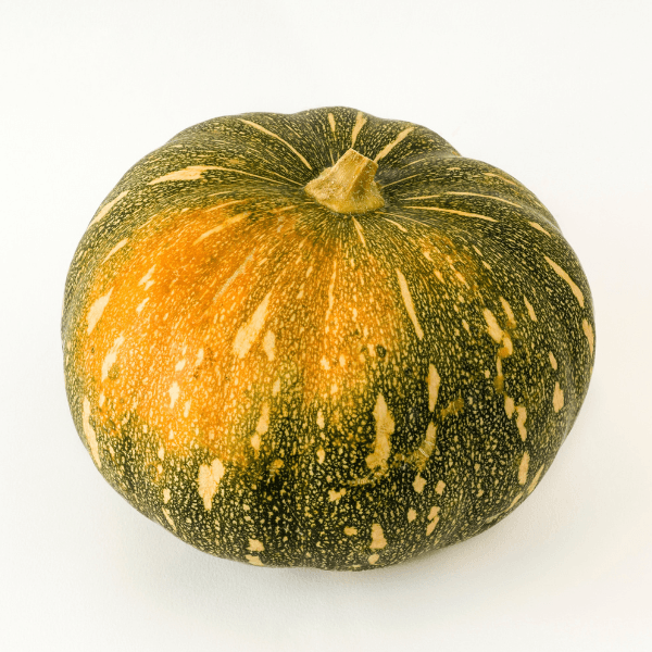 Isolated green Jamaican pumpkin on white background